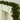 Artificial Greenery Garland
